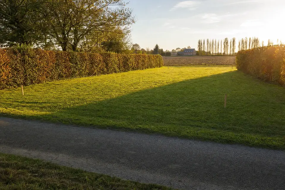 Terrain en herbe bordé d’une haie, en fin de journée